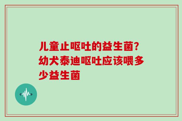 儿童止的益生菌？幼犬泰迪应该喂多少益生菌