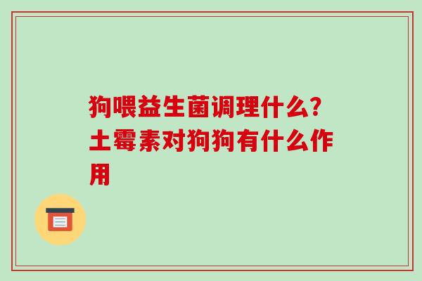 狗喂益生菌调理什么？土霉素对狗狗有什么作用