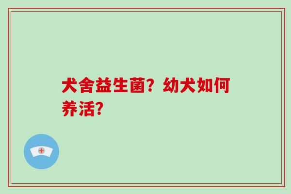 犬舍益生菌？幼犬如何养活？