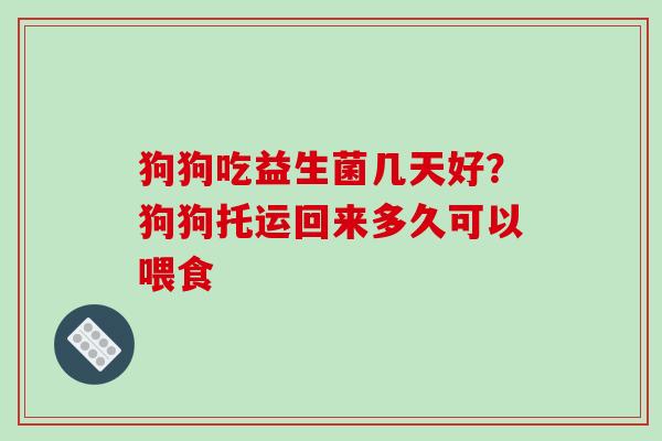 狗狗吃益生菌几天好？狗狗托运回来多久可以喂食