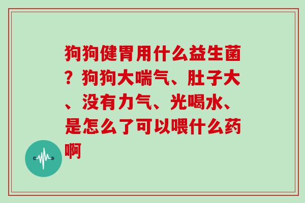 狗狗健胃用什么益生菌？狗狗大喘气、肚子大、没有力气、光喝水、是怎么了可以喂什么药啊