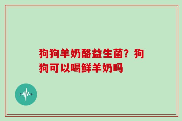 狗狗羊奶酪益生菌？狗狗可以喝鲜羊奶吗