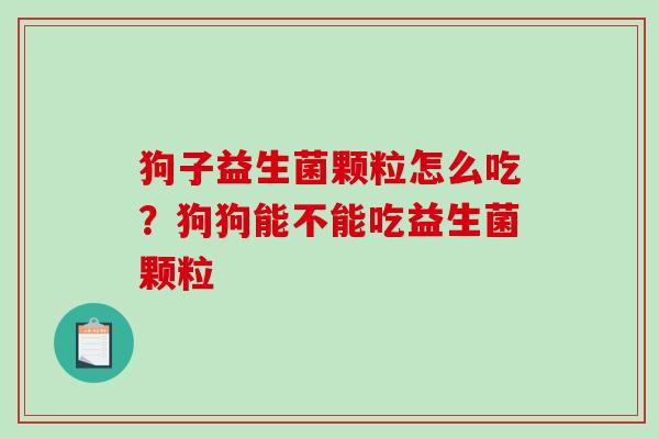 狗子益生菌颗粒怎么吃？狗狗能不能吃益生菌颗粒