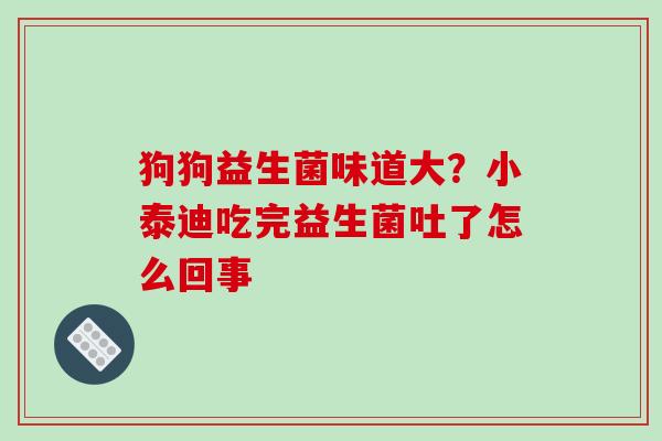 狗狗益生菌味道大？小泰迪吃完益生菌吐了怎么回事