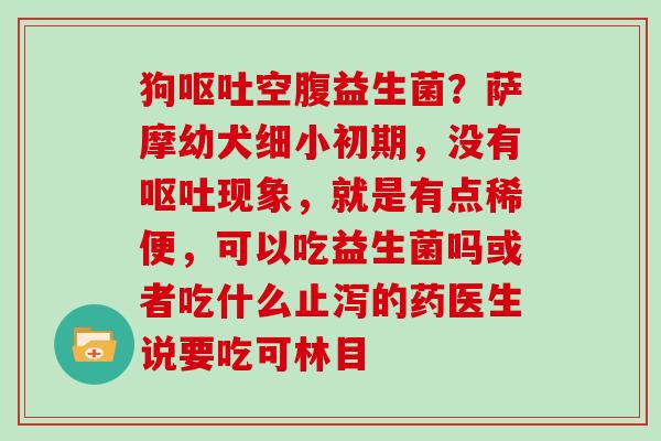 狗空腹益生菌？萨摩幼犬细小初期，没有现象，就是有点稀便，可以吃益生菌吗或者吃什么止泻的药医生说要吃可林目