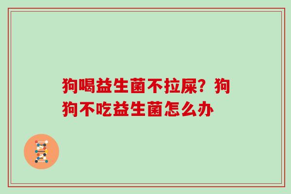 狗喝益生菌不拉屎？狗狗不吃益生菌怎么办