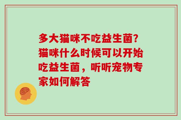 多大猫咪不吃益生菌？猫咪什么时候可以开始吃益生菌，听听宠物专家如何解答