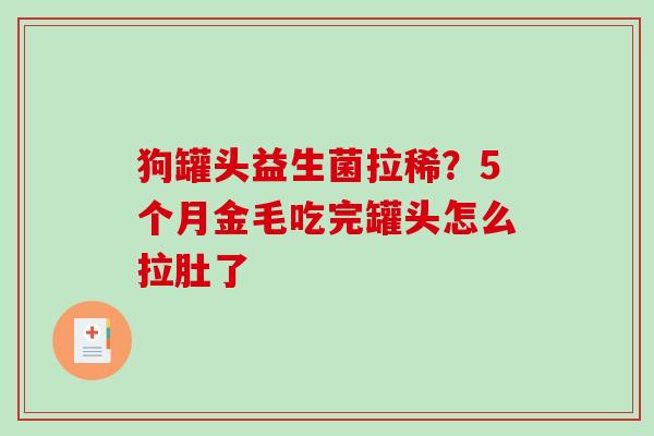 狗罐头益生菌拉稀？5个月金毛吃完罐头怎么拉肚了