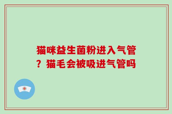 猫咪益生菌粉进入气管？猫毛会被吸进气管吗