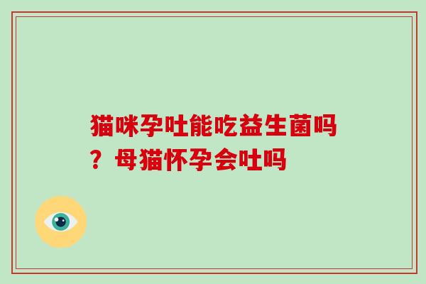 猫咪孕吐能吃益生菌吗？母猫怀孕会吐吗