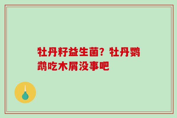 牡丹籽益生菌？牡丹鹦鹉吃木屑没事吧