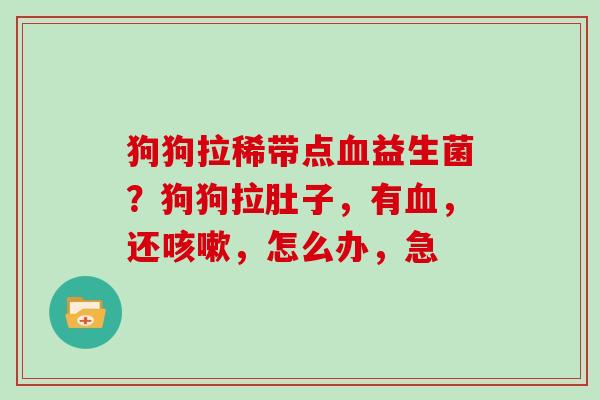狗狗拉稀带点益生菌？狗狗拉肚子，有，还，怎么办，急