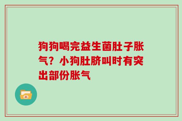 狗狗喝完益生菌肚子？小狗肚脐叫时有突出部份