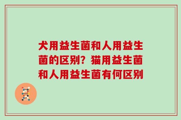 犬用益生菌和人用益生菌的区别？猫用益生菌和人用益生菌有何区别