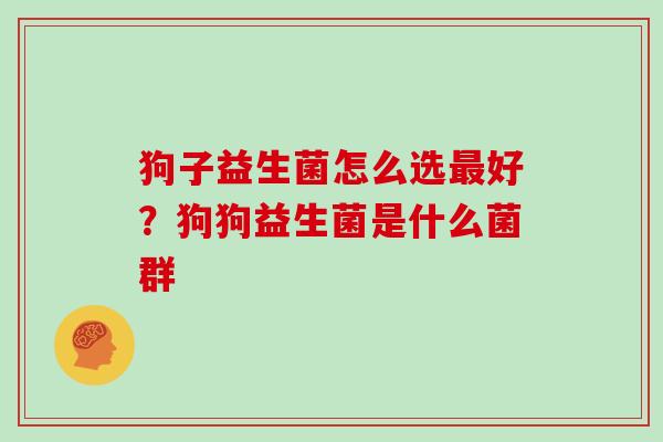 狗子益生菌怎么选好?狗狗益生菌是什么菌群 狗子益生菌怎么选好?狗狗益生菌是什么菌群