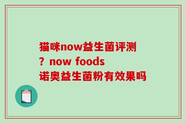 猫咪now益生菌评测?now foods诺奥益生菌粉有效果吗 猫咪now益生菌评测?now foods诺奥益生菌粉有效果吗