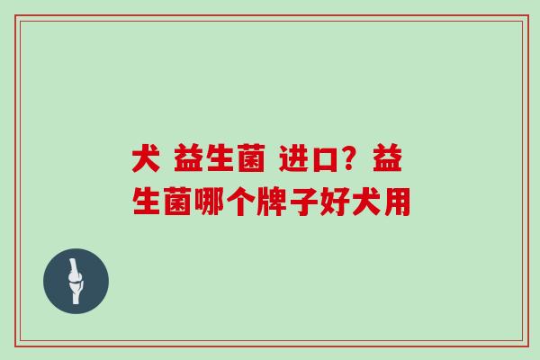 犬 益生菌 进口？益生菌哪个牌子好犬用