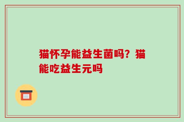 猫怀孕能益生菌吗？猫能吃益生元吗