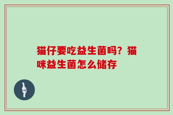 猫仔要吃益生菌吗？猫咪益生菌怎么储存