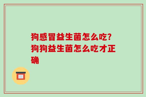 狗感冒益生菌怎么吃？狗狗益生菌怎么吃才正确
