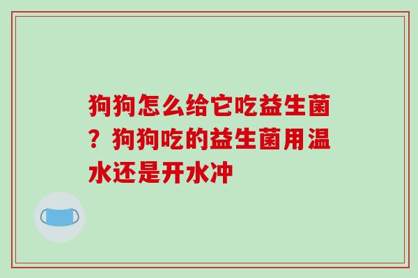 狗狗怎么给它吃益生菌？狗狗吃的益生菌用温水还是开水冲