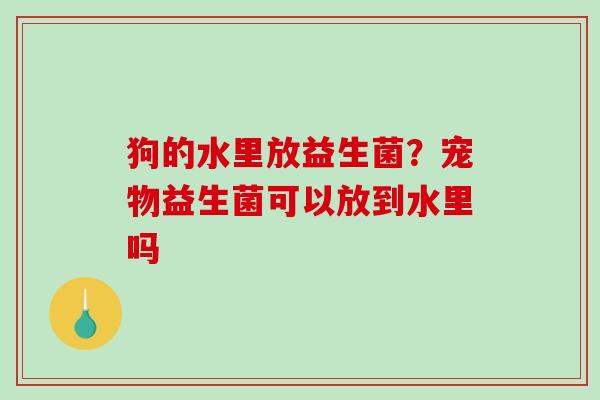狗的水里放益生菌？宠物益生菌可以放到水里吗