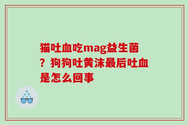 猫吐吃mag益生菌？狗狗吐黄沫后吐是怎么回事