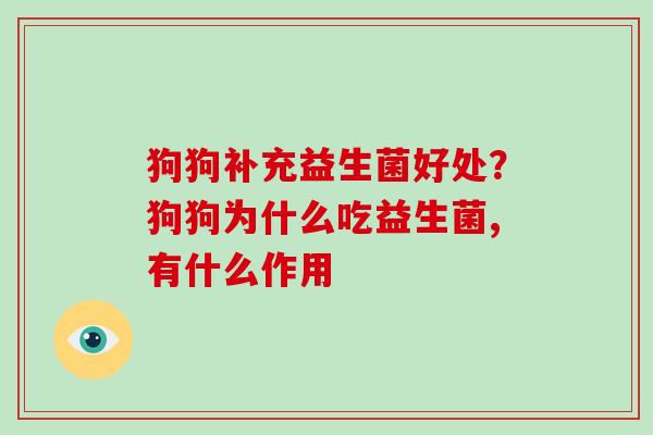 狗狗补充益生菌好处？狗狗为什么吃益生菌,有什么作用