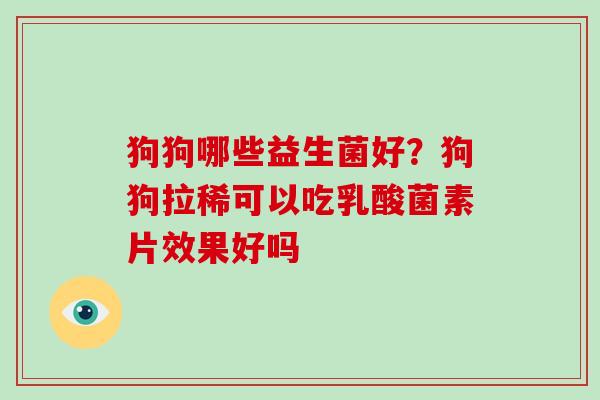狗狗哪些益生菌好？狗狗拉稀可以吃乳酸菌素片效果好吗