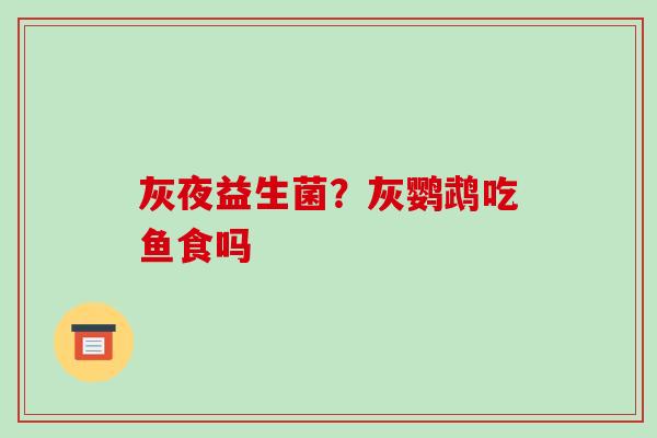 灰夜益生菌？灰鹦鹉吃鱼食吗