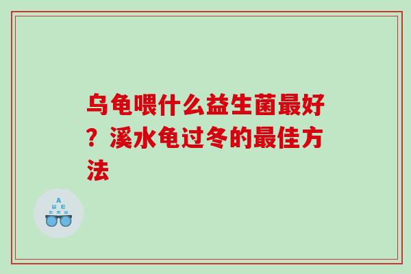 乌龟喂什么益生菌好？溪水龟过冬的佳方法