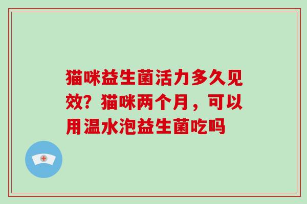 猫咪益生菌活力多久见效?猫咪两个月,可以用温水泡益生菌吃吗 猫咪益生菌活力多久见效?猫咪两个月,可以用温水泡益生菌吃吗