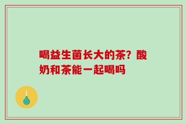 喝益生菌长大的茶？酸奶和茶能一起喝吗