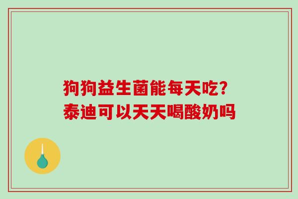 狗狗益生菌能每天吃？泰迪可以天天喝酸奶吗