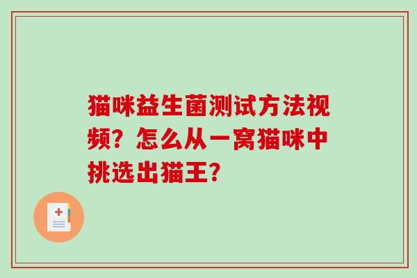 猫咪益生菌测试方法视频？怎么从一窝猫咪中挑选出猫王？