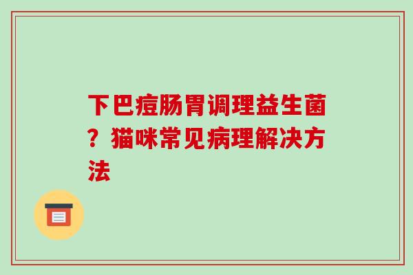 下巴痘肠胃调理益生菌？猫咪常见理解决方法