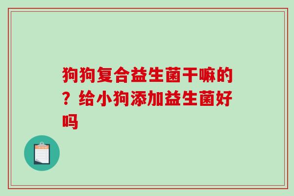 狗狗复合益生菌干嘛的？给小狗添加益生菌好吗