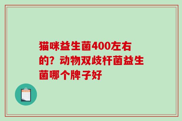 猫咪益生菌400左右的？动物双歧杆菌益生菌哪个牌子好