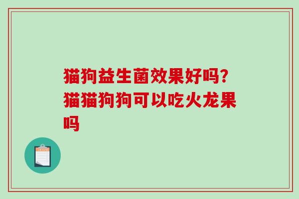 猫狗益生菌效果好吗？猫猫狗狗可以吃火龙果吗