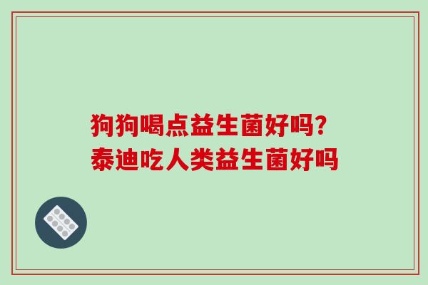 狗狗喝点益生菌好吗？泰迪吃人类益生菌好吗