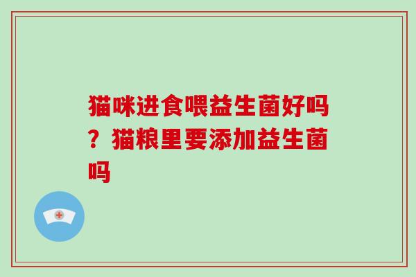 猫咪进食喂益生菌好吗？猫粮里要添加益生菌吗