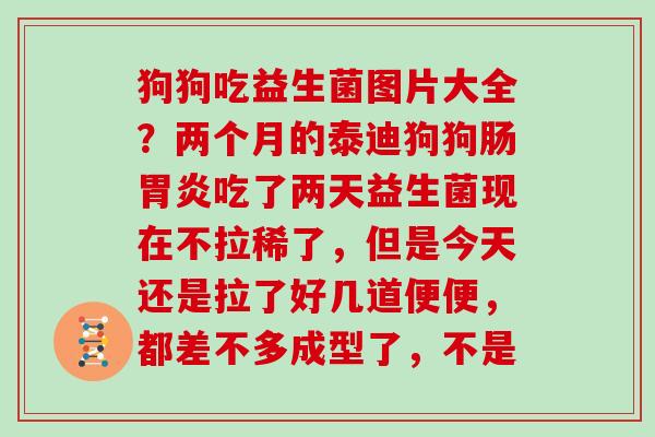 狗狗吃益生菌图片大全？两个月的泰迪狗狗肠胃炎吃了两天益生菌现在不拉稀了，但是今天还是拉了好几道便便，都差不多成型了，不是