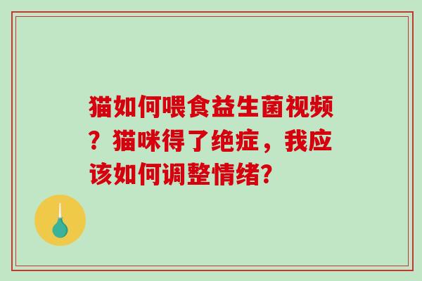 猫如何喂食益生菌视频？猫咪得了绝症，我应该如何调整情绪？