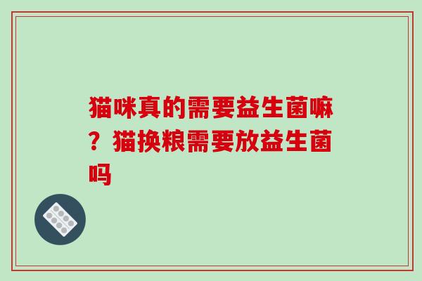猫咪真的需要益生菌嘛?猫换粮需要放益生菌吗 猫咪真的需要益生菌嘛?猫换粮需要放益生菌吗