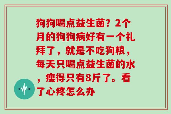狗狗喝点益生菌？2个月的狗狗病好有一个礼拜了，就是不吃狗粮，每天只喝点益生菌的水，瘦得只有8斤了。看了心疼怎么办