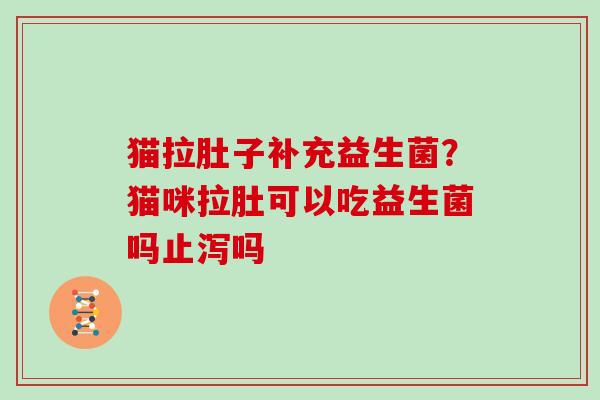 猫拉肚子补充益生菌？猫咪拉肚可以吃益生菌吗止泻吗