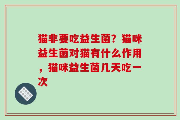 猫非要吃益生菌？猫咪益生菌对猫有什么作用，猫咪益生菌几天吃一次