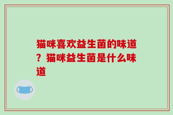猫咪喜欢益生菌的味道？猫咪益生菌是什么味道