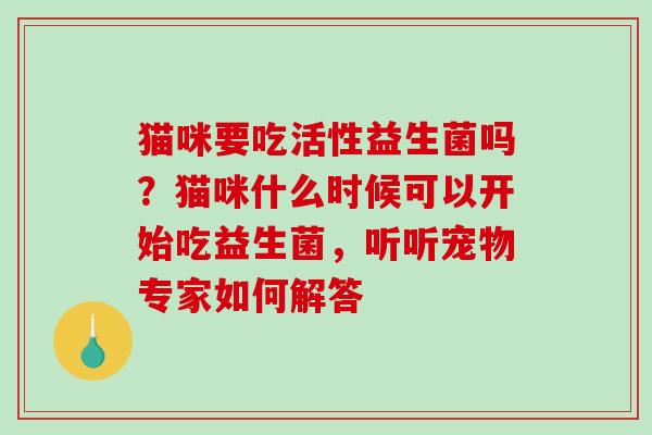 猫咪要吃活性益生菌吗？猫咪什么时候可以开始吃益生菌，听听宠物专家如何解答