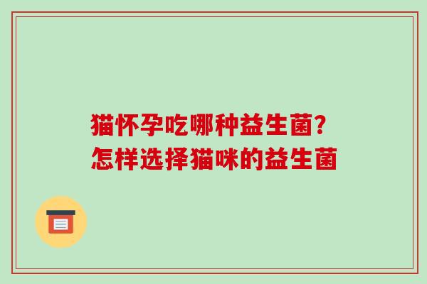 猫怀孕吃哪种益生菌？怎样选择猫咪的益生菌